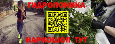 дживик Гусь-Хрустальный