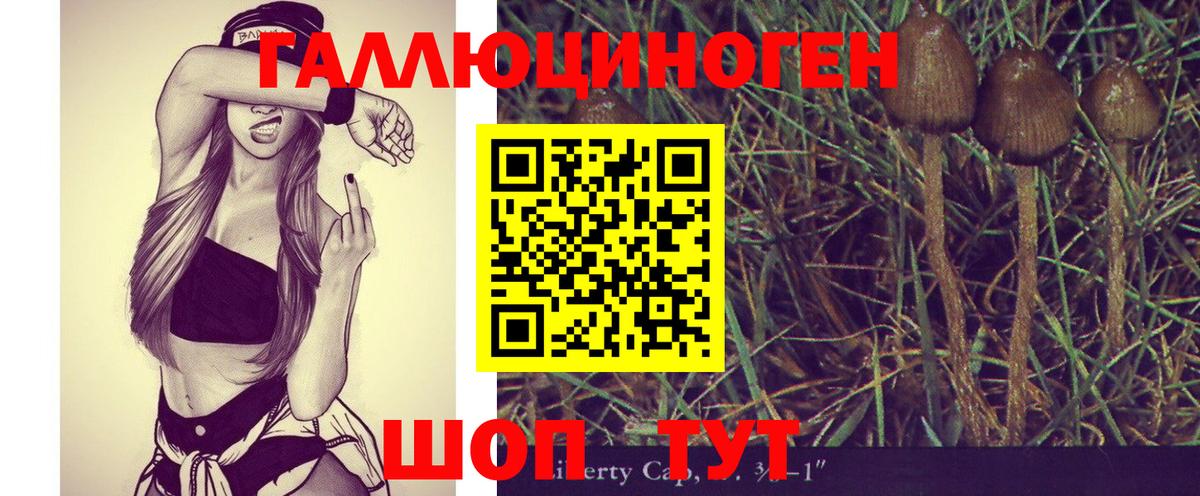 ГАШИШ Елизово