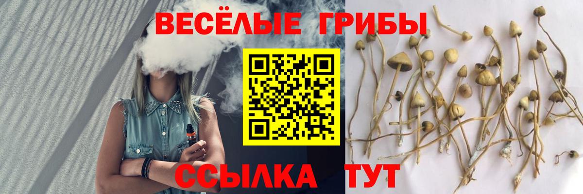 Галлюциногенные грибы Magic Shrooms  Псилоцибиновые грибы прущие грибы  Елизово  Вход с VPN 
