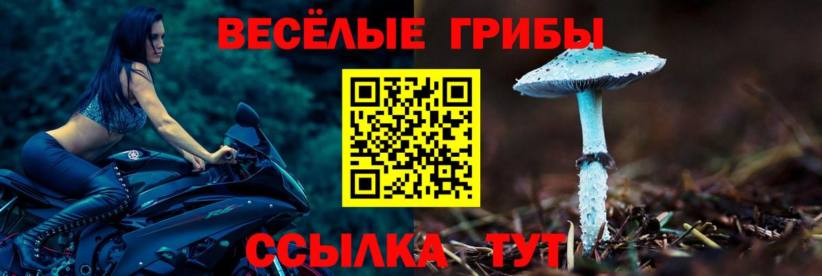 Псилоцибиновые грибы Magic Shrooms Елизово